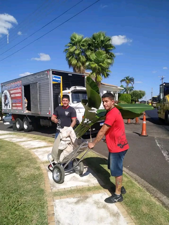 Equipe da Gêmeos da Mudança carregando móveis em Presidente Prudente